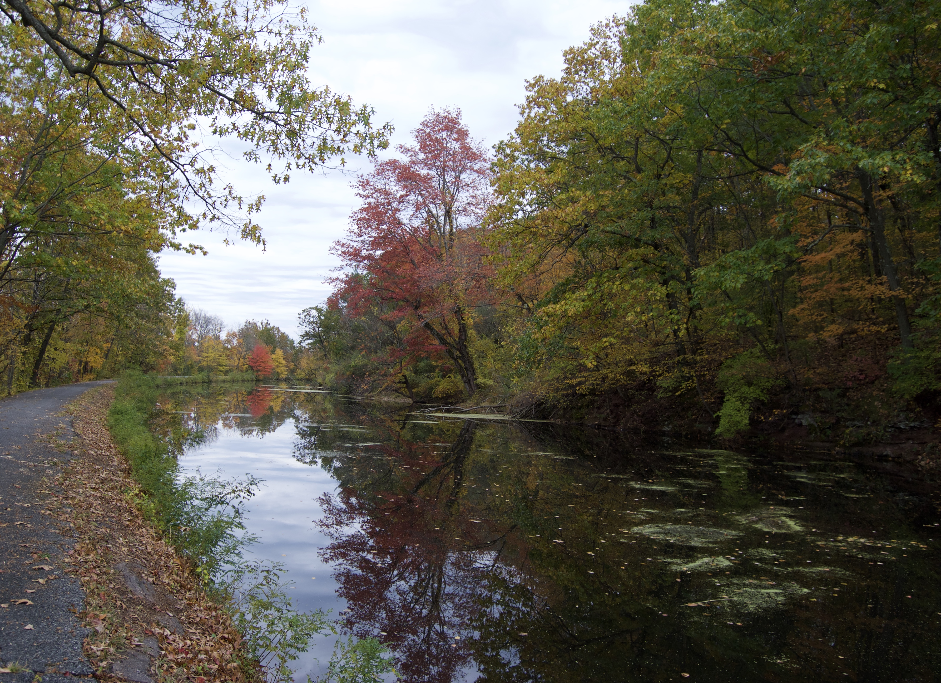 Escape To Nature’s Embrace: Unwinding At Windsor Locks State Park